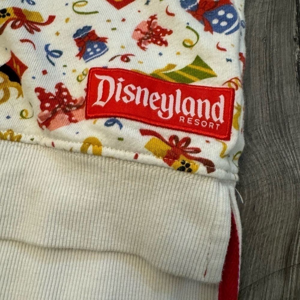 Disney Parks Let’s Celebrate Disneyland Youth XL Hoodie - Picture 2 of 5